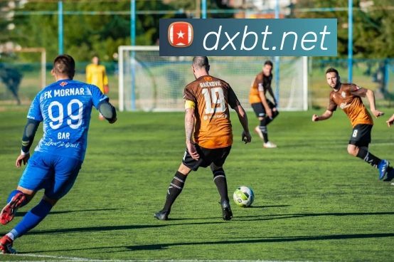 8868体育首页登录服务体系